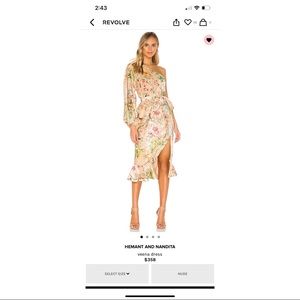 Hemant & Nandita - veena dress